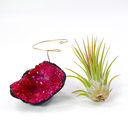 Red Geode Air Plant Holder