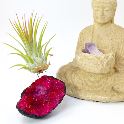 Red Geode Air Plant Holder