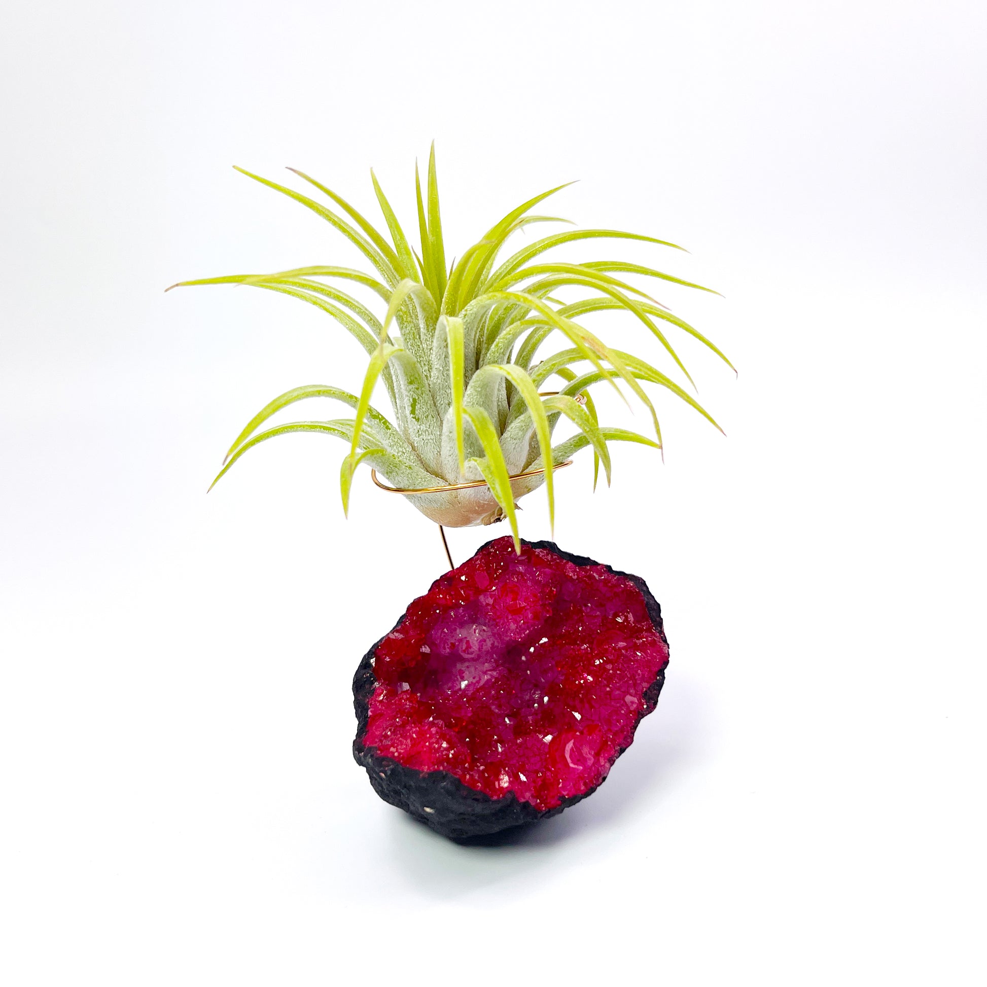 geode air plant holder Red Geode Air Plant Holder