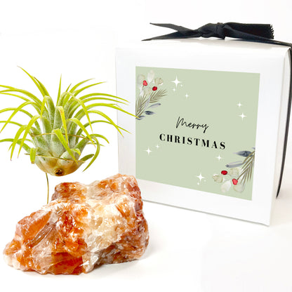 Red Calcite Crystal Air Plant Holder