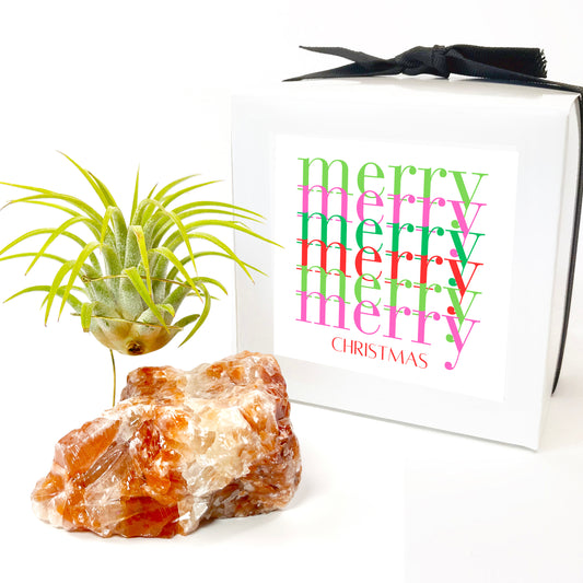 Red Calcite Crystal Air Plant Holder (includes Air Plant and Merry Merry Christmas Gift Box)