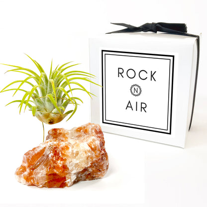 Red Calcite Crystal Air Plant Holder