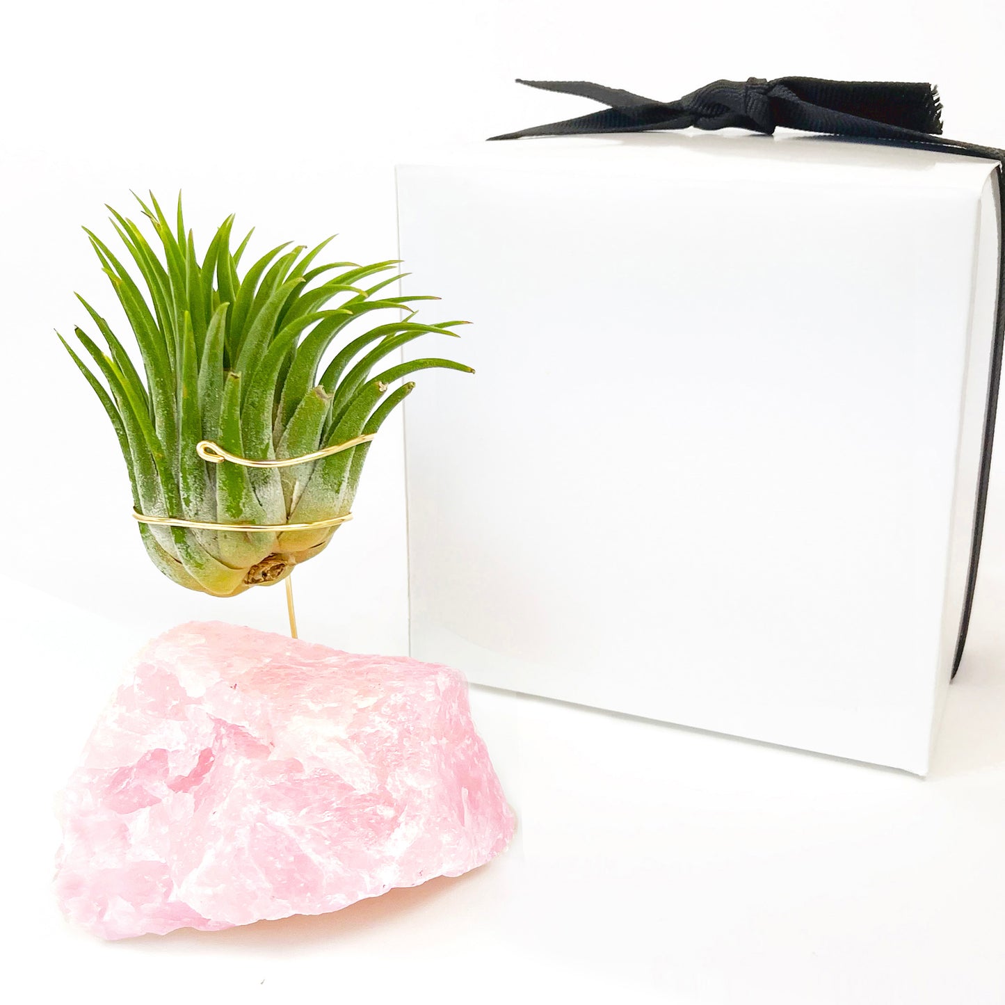 Rose Quartz Air Planter