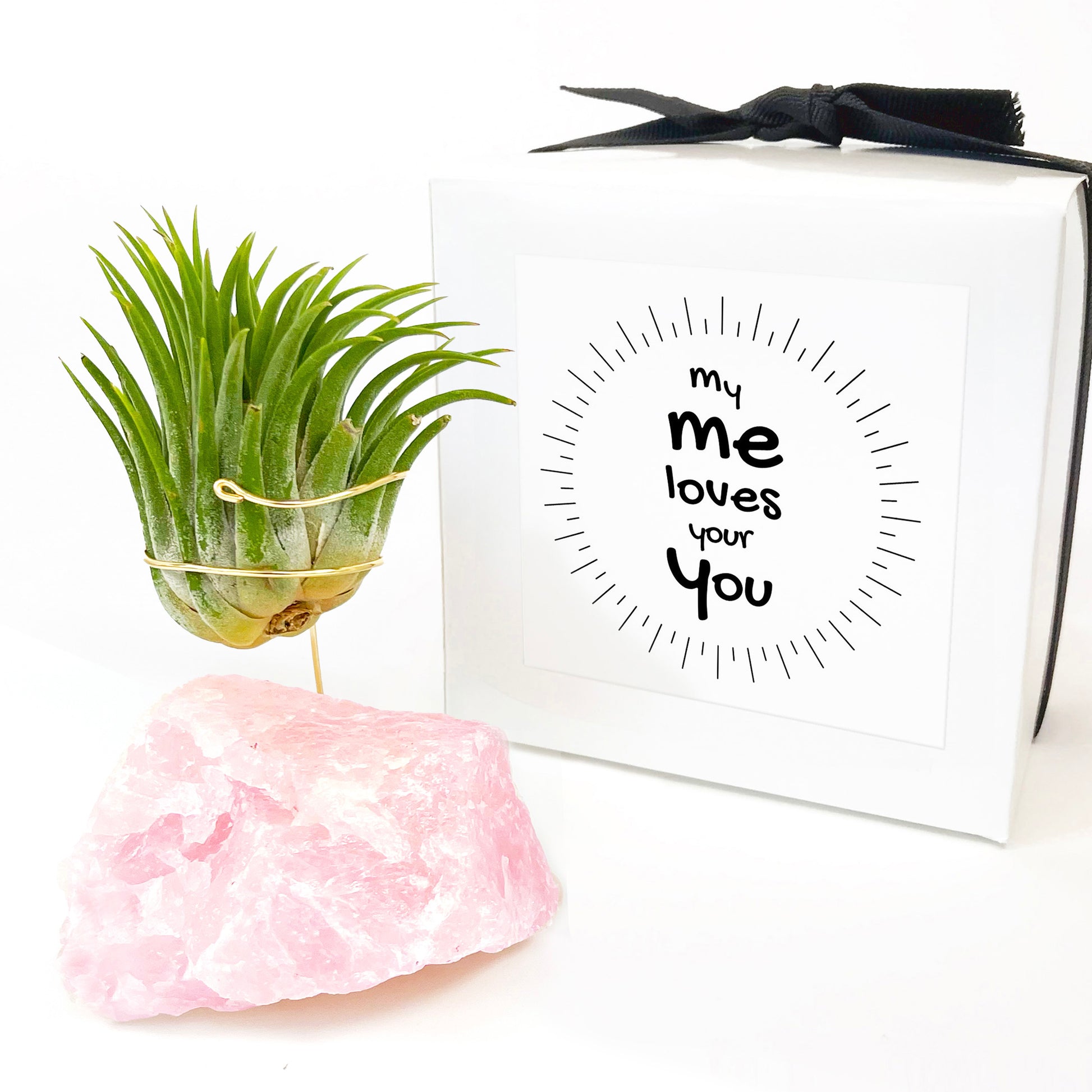 rose quartz air plant Rose Quartz Air Planter