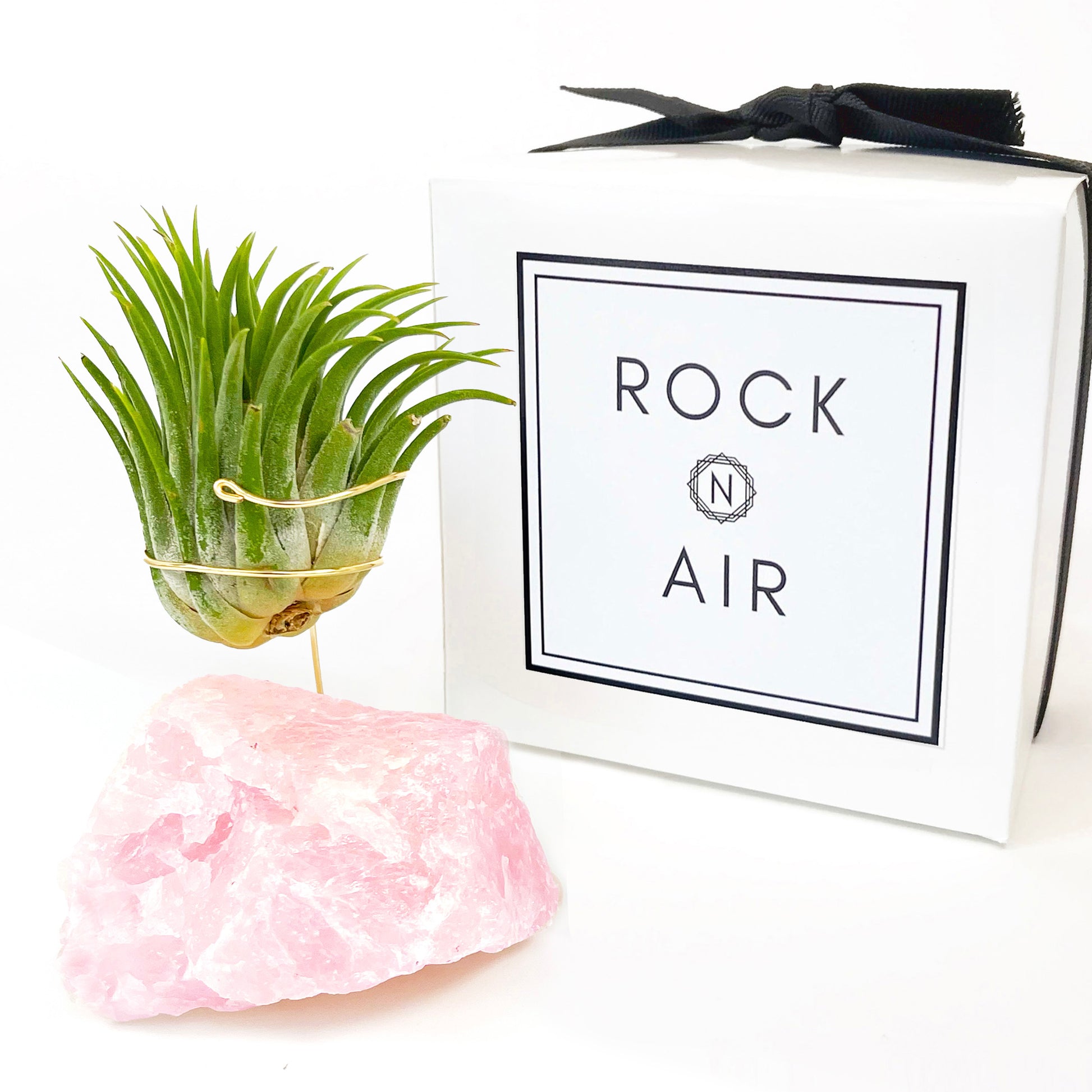 rose quartz air plant Rose Quartz Air Planter