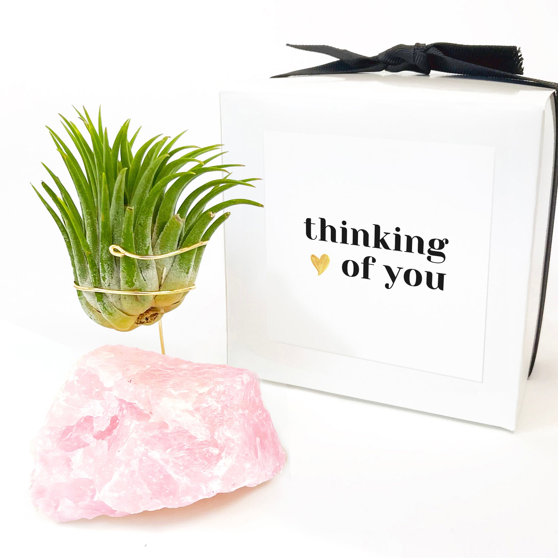 air plant thinkers Rose Quartz Air Plant Holder – Rock n Air Studio