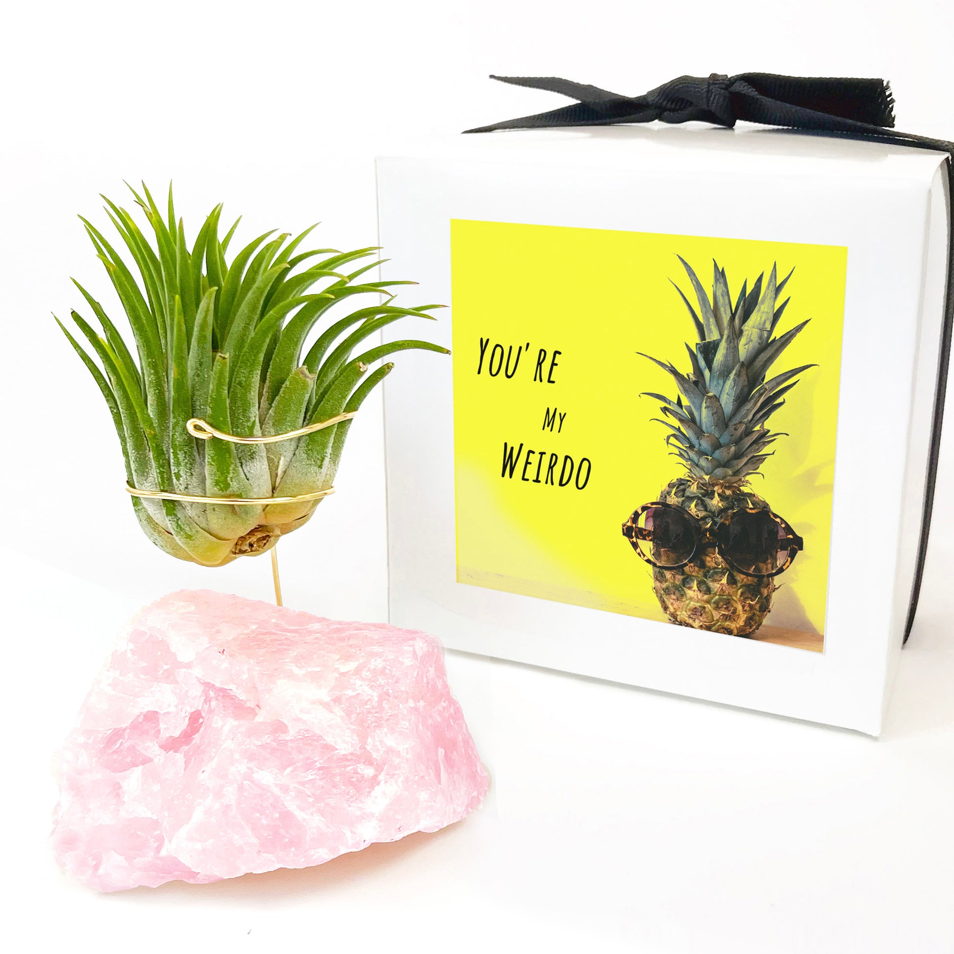 rose quartz air plant Rose Quartz Air Plant Holder – Rock n Air Studio