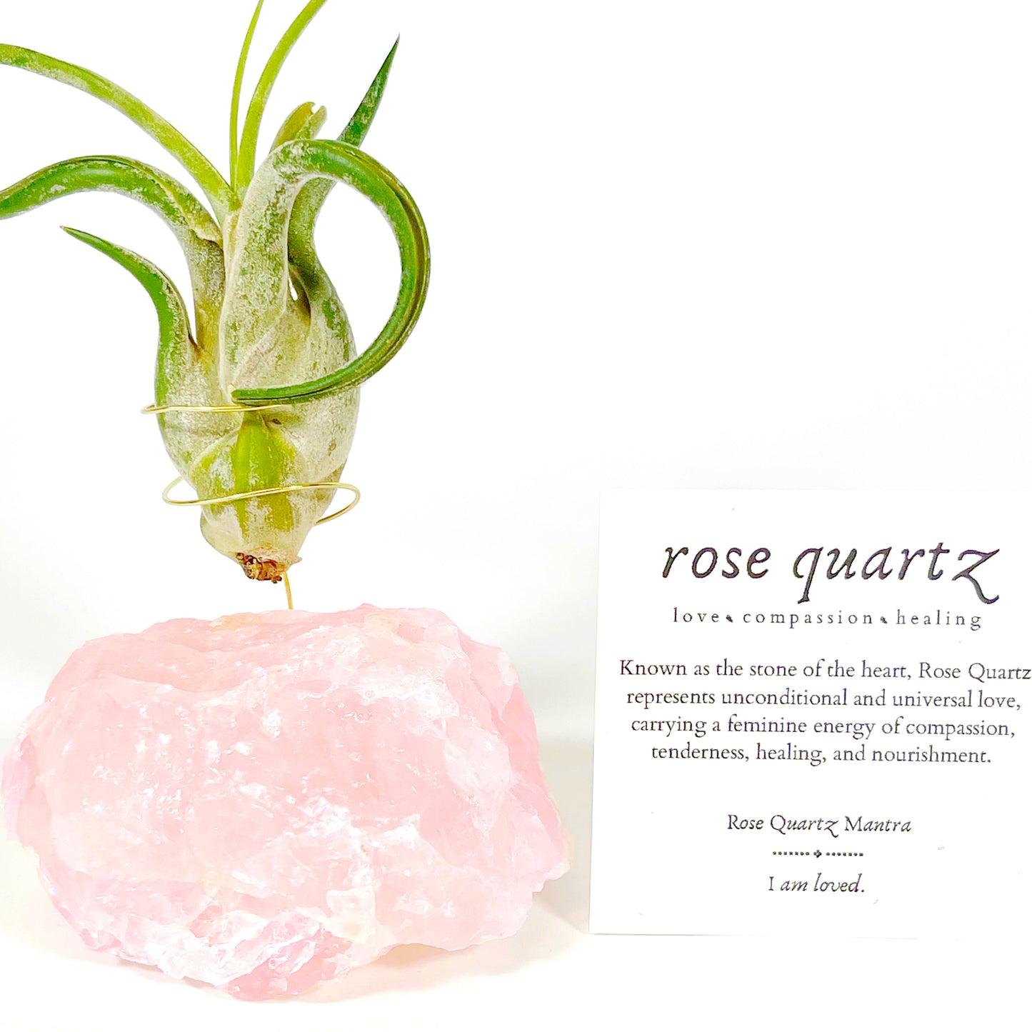 Get Well Gift - Rose Quartz Air Plant Holder - Caput Medusae Air Plant