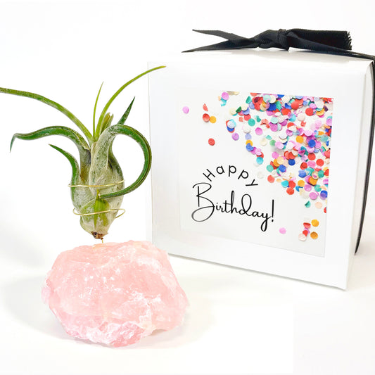Unique Birthday Gift - Rose Quartz Crystal Air Plant Holder