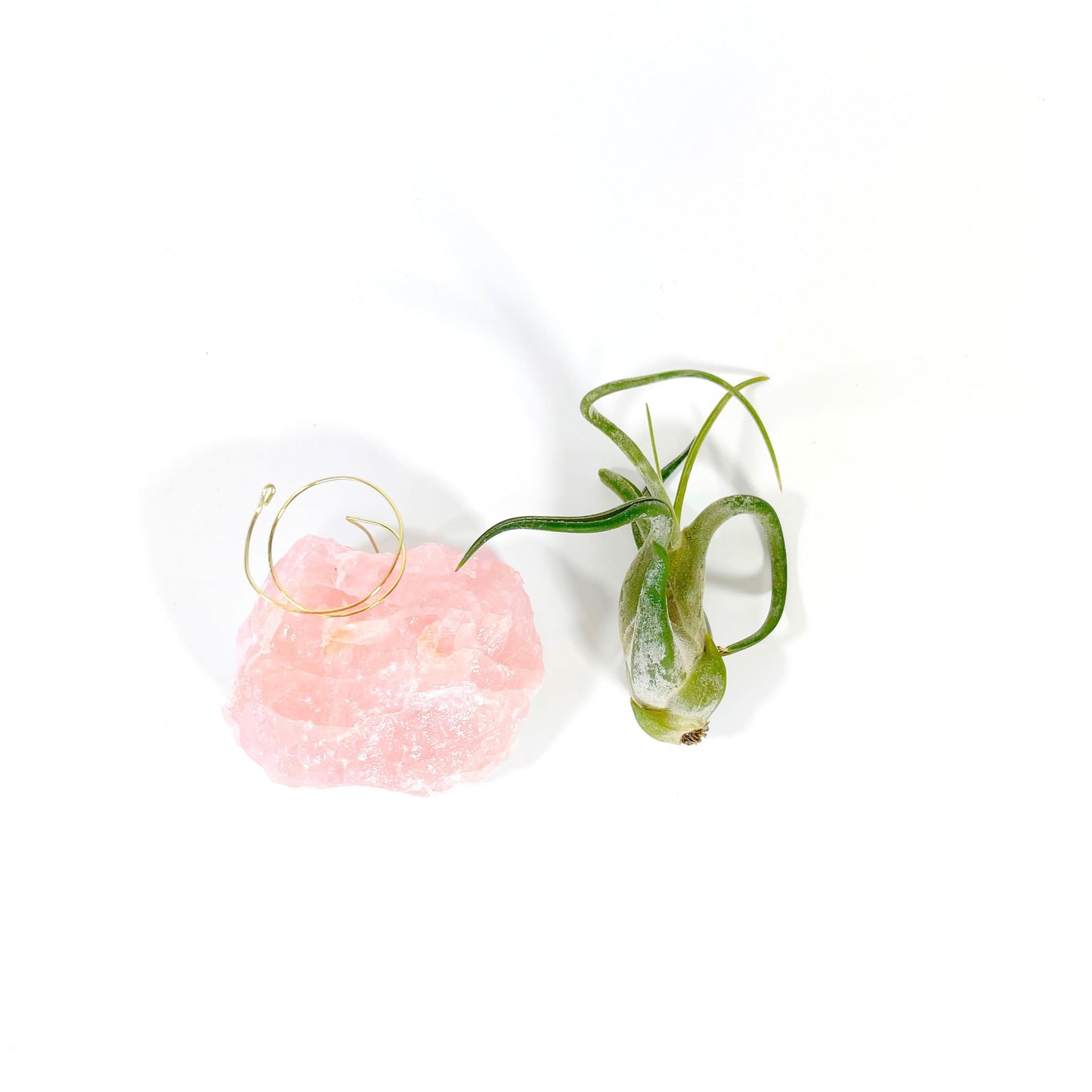 Get Well Gift - Rose Quartz Air Plant Holder - Caput Medusae Air Plant