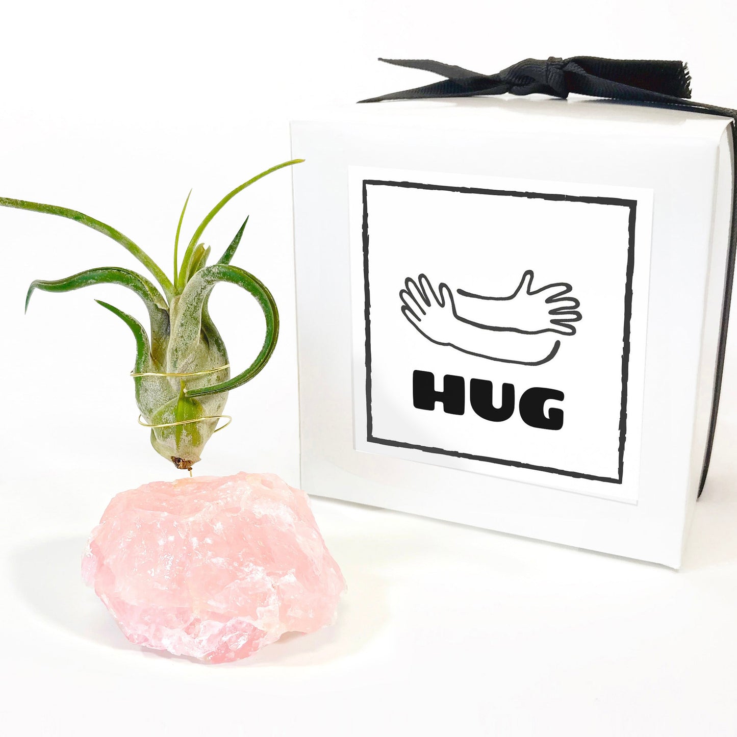 Get Well Gift - Rose Quartz Air Plant Holder - Caput Medusae Air Plant