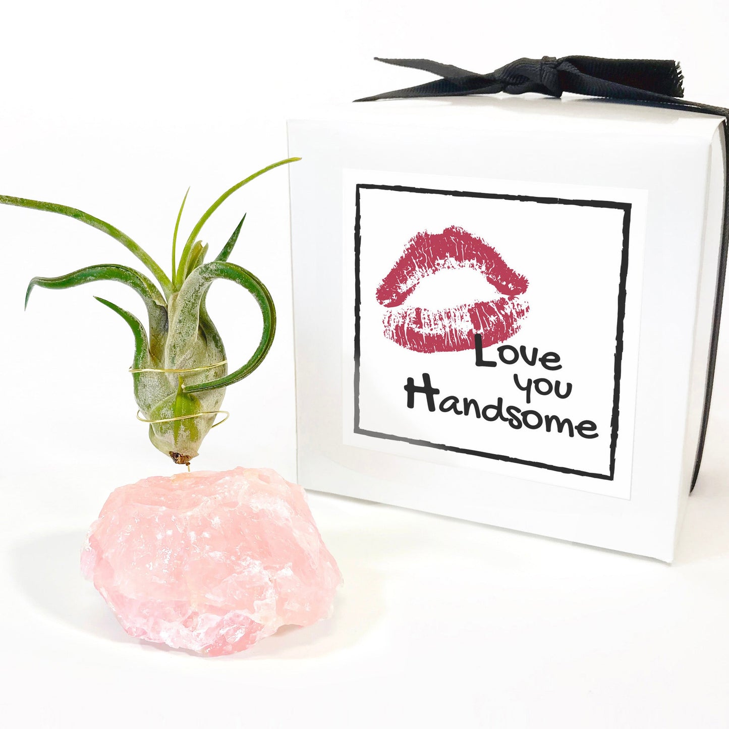 Get Well Gift - Rose Quartz Air Plant Holder - Caput Medusae Air Plant