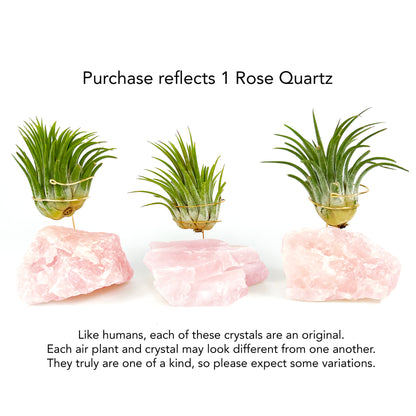 Rose Quartz Air Planter