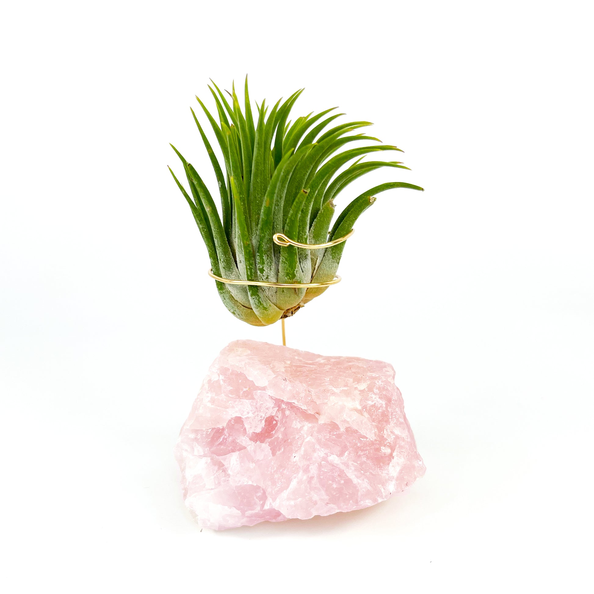 air plant crystal holder Rose Quartz Air Planter