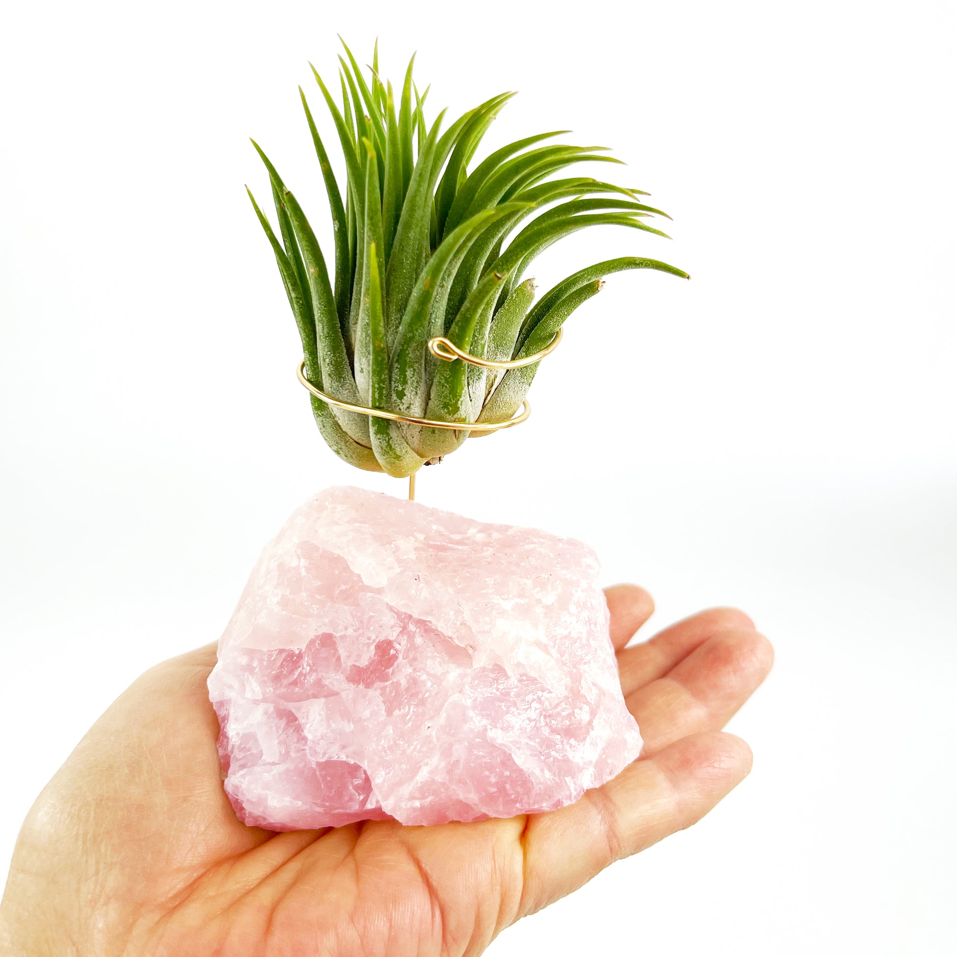 rose quartz air plant Rose Quartz Air Planter