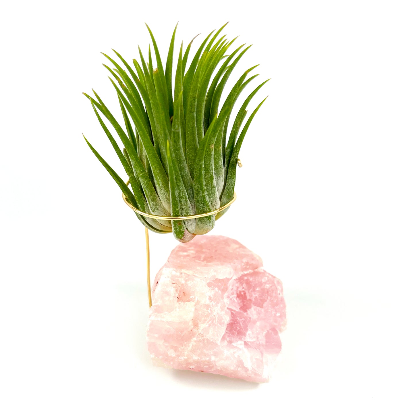 Rose Quartz Air Planter