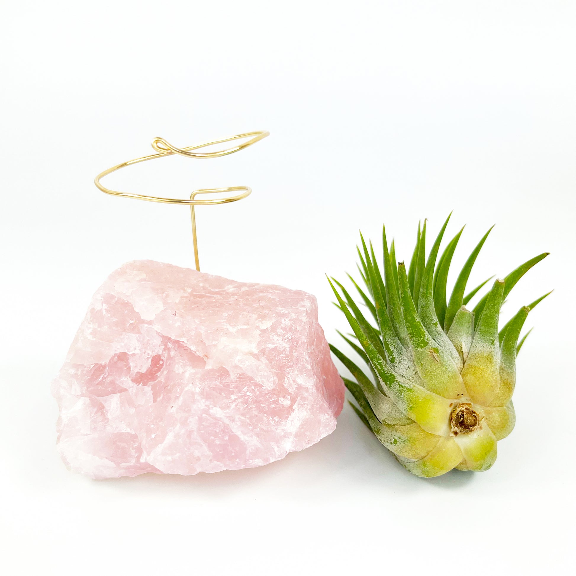 rose quartz air plant Rose Quartz Air Planter