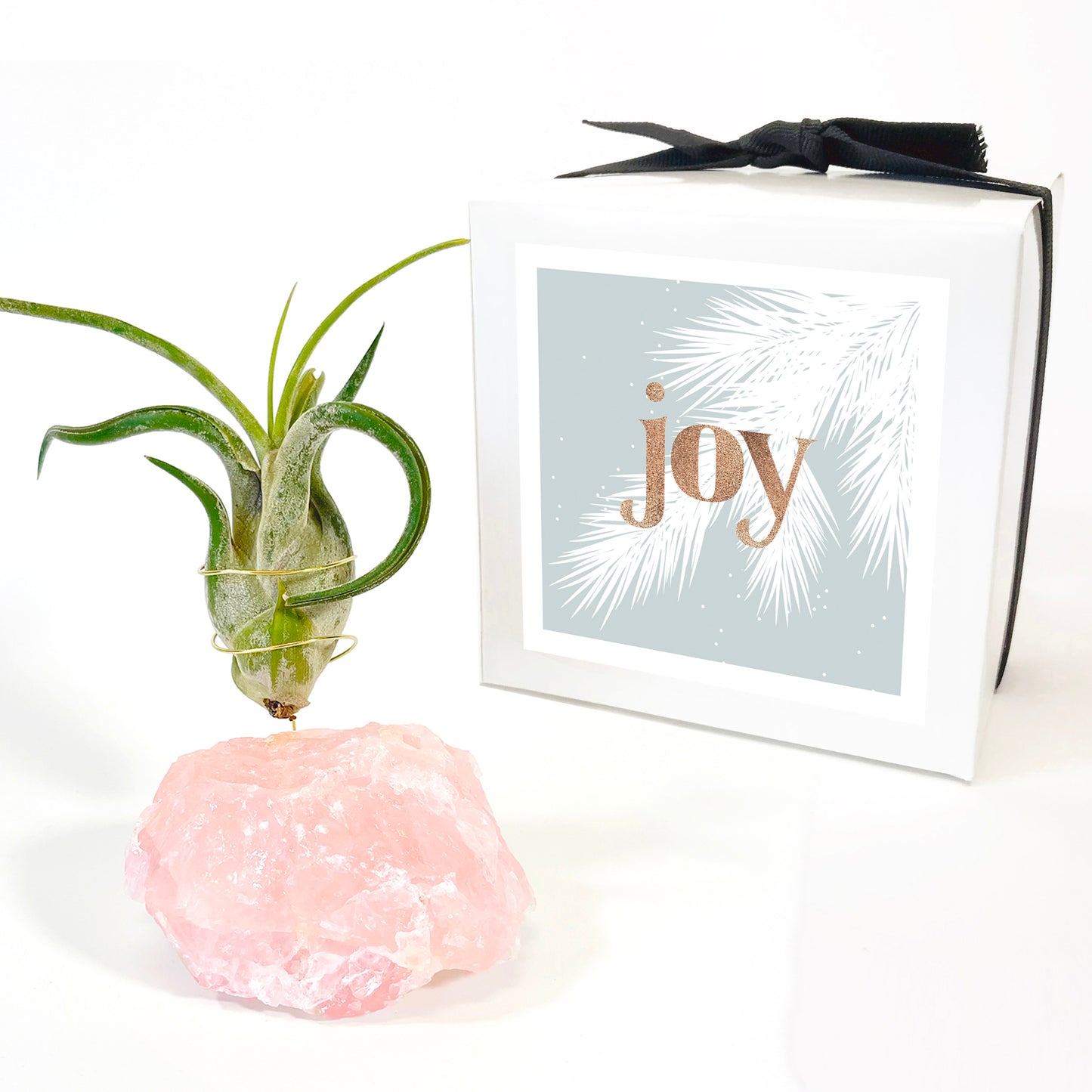 Raw Rose Quartz Air Plant Holder (Tillandsia Caput Medusae)