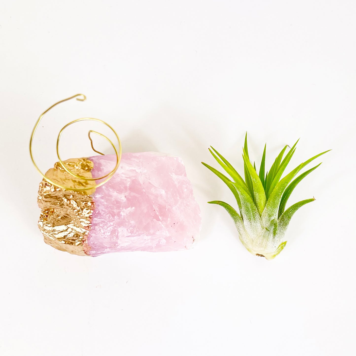 Gold Dipped Rose Quartz Air Plant Holder (Tillandsia Ionantha Guatemala) - Valentine's Day Air Plant Gifts (Copy)