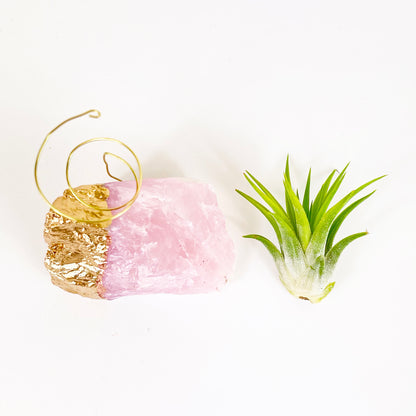 Gold Dipped Rose Quartz Air Plant Holder (Tillandsia Ionantha Guatemala) - Valentine's Day Air Plant Gifts (Copy)