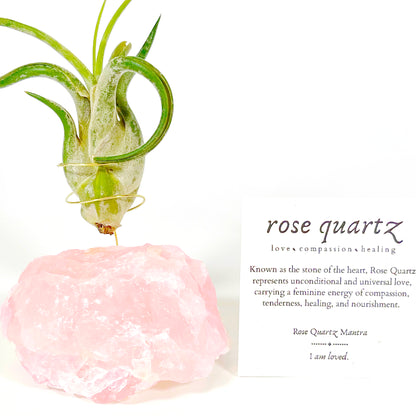 Raw Rose Quartz Air Plant Holder (includes Air Plant and Joy Gift Box) (Copy)