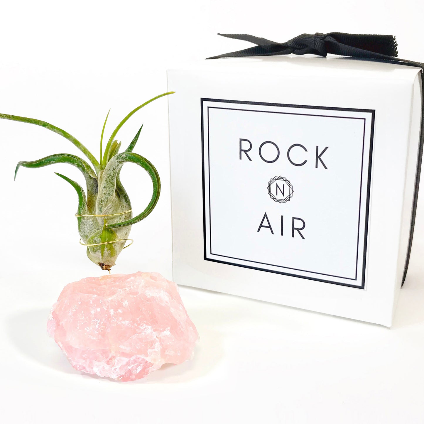 Raw Rose Quartz Air Plant Holder (Tillandsia Caput Medusae)