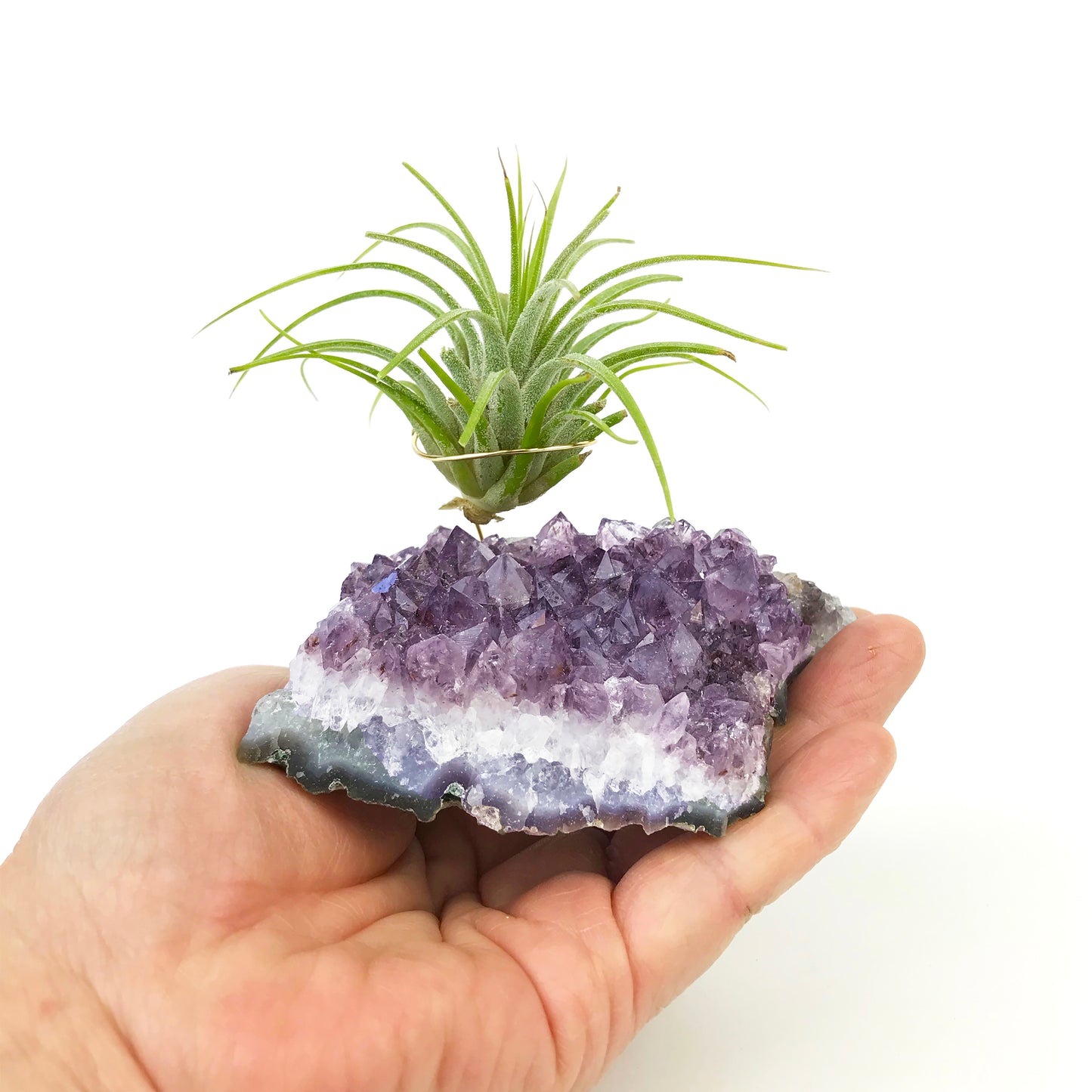 Amethyst Crystal Air Plant Holder Gift – Unique Thank You Gift Box with Live Air Plant