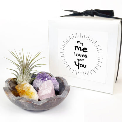 4" Scallop Detail Marble Bowl Air Plant Display with Crystals, Includes Air Plant, Amethyst, Citrine, Rose Quartz