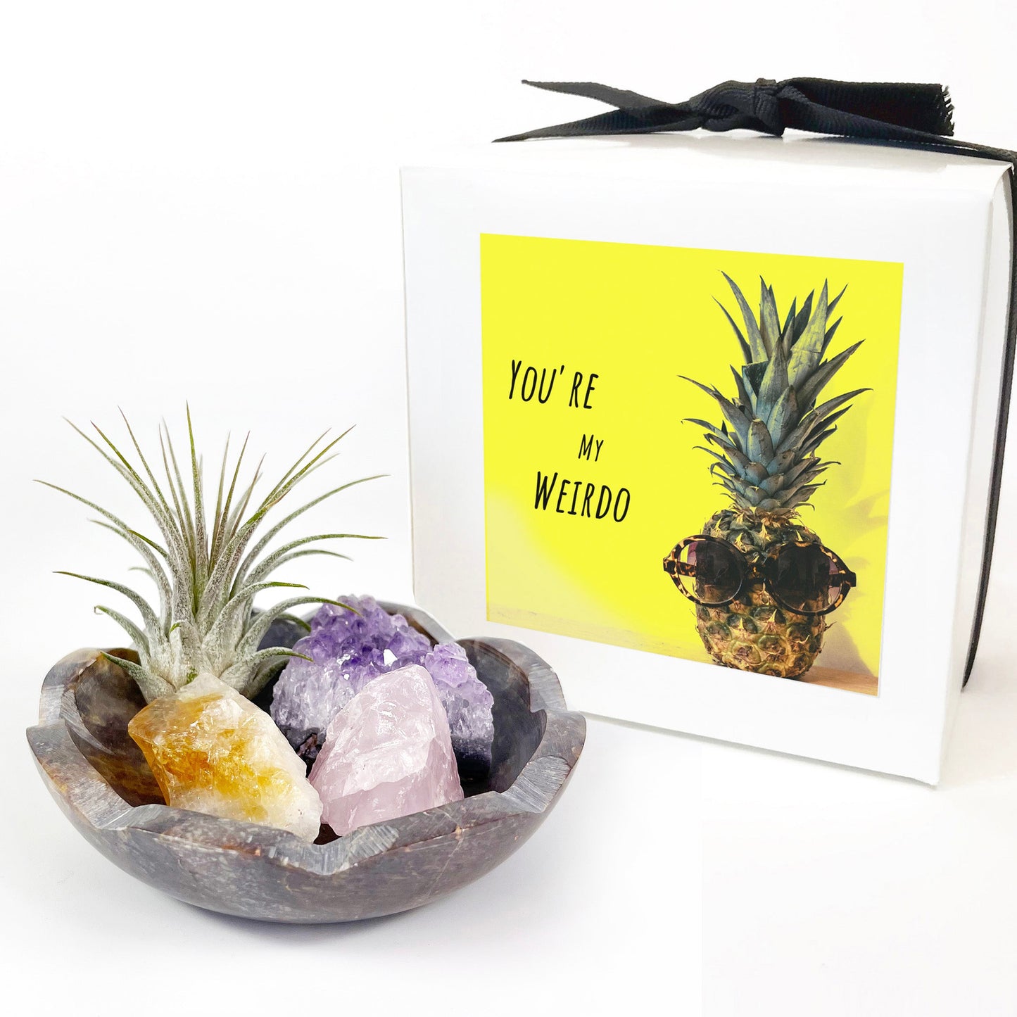 4" Scallop Detail Marble Bowl Air Plant Display with Crystals, Includes Air Plant, Amethyst, Citrine, Rose Quartz