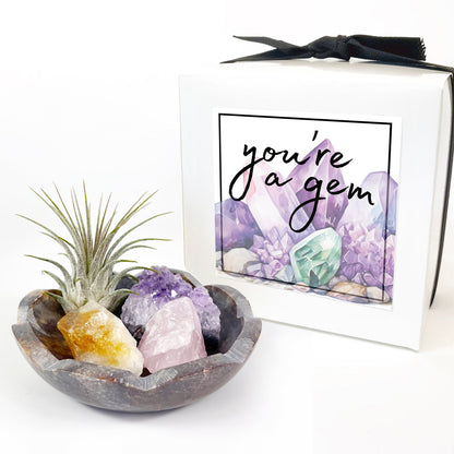 4" Scallop Detail Marble Bowl Air Plant Display with Crystals, Includes Air Plant, Amethyst, Citrine, Rose Quartz