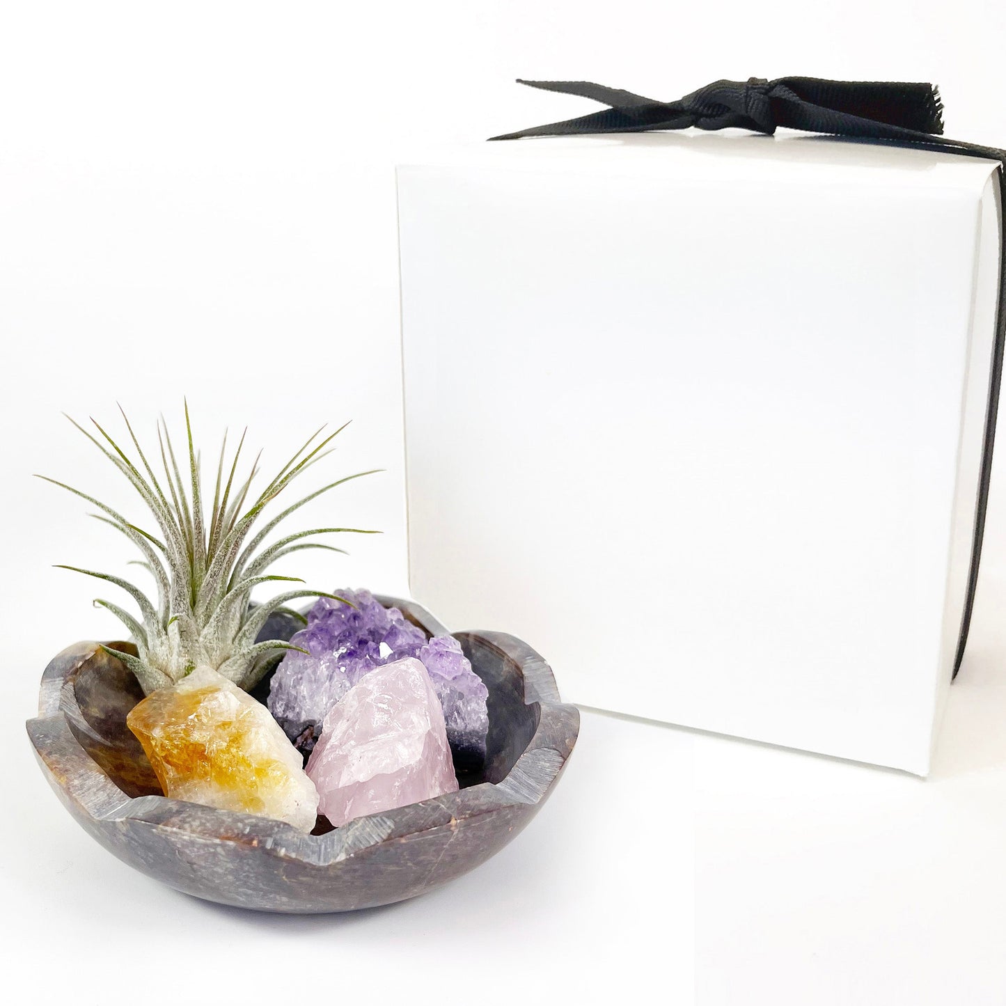 4" Scallop Detail Marble Bowl Air Plant Display with Crystals, Includes Air Plant, Amethyst, Citrine, Rose Quartz