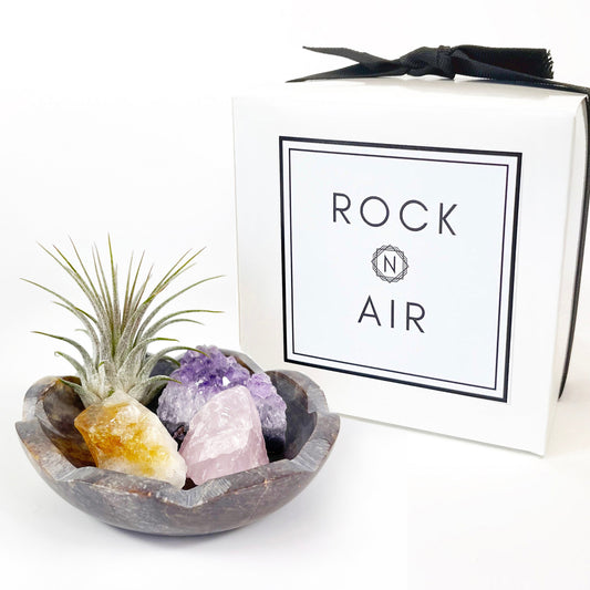 Sympathy Gift - 4" Scallop Detail Marble Bowl Air Plant Display with Crystals, Includes Air Plant, Amethyst, Citrine, Rose Quartz