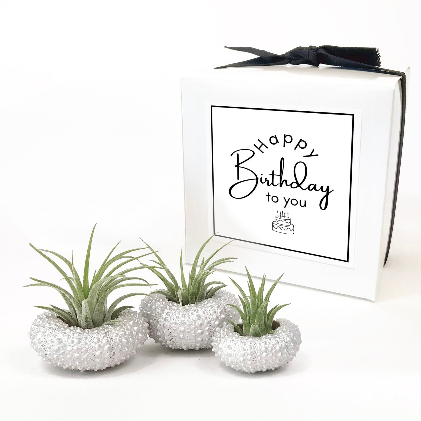 Unique Birthday Gift - Silver Metallic Sea Urchin Air Plant Holder (Set of 3)