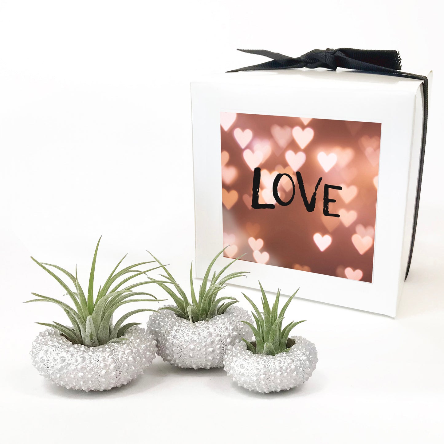 Silver Metallic Sea Urchin Air Plant Holder (Set of 3)