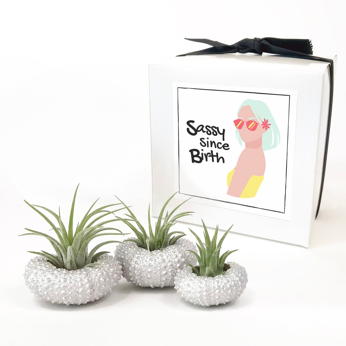 Unique Birthday Gift - Silver Metallic Sea Urchin Air Plant Holder (Set of 3)