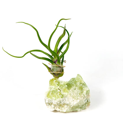 Rare Green Calcite Gemstone Air Plant Holder - One-of-a-kind Gift for Tillandsia and Crystal Lovers