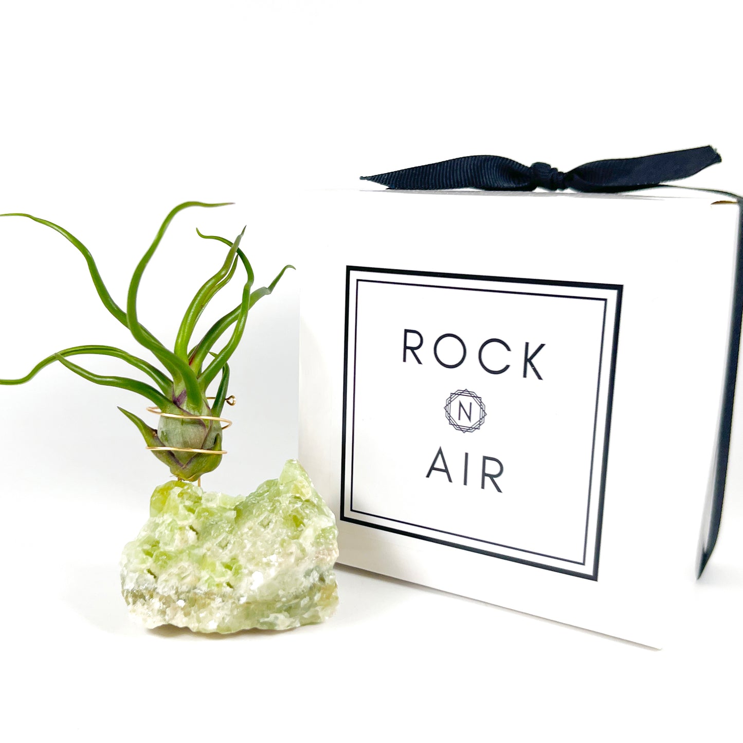 Rare Green Calcite Gemstone Air Plant Holder - One-of-a-kind Gift for Tillandsia and Crystal Lovers