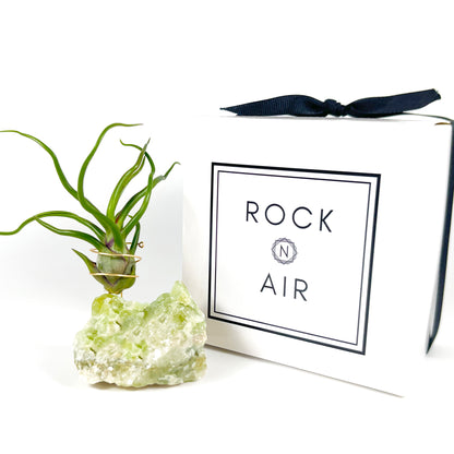 Rare Green Calcite Gemstone Air Plant Holder - One-of-a-kind Gift for Tillandsia and Crystal Lovers