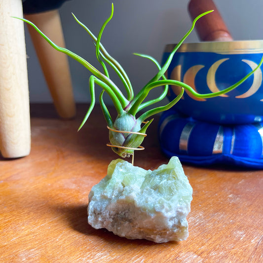 Rare Green Calcite Gemstone Air Plant Holder - One-of-a-kind Gift for Tillandsia and Crystal Lovers