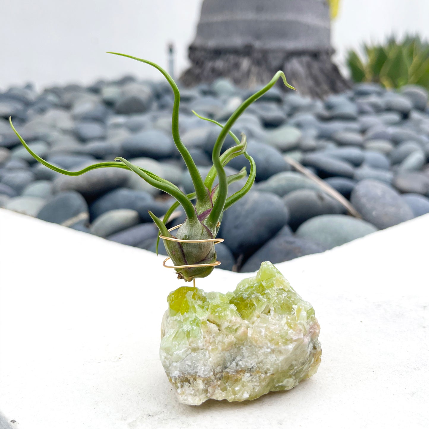 Rare Green Calcite Gemstone Air Plant Holder - One-of-a-kind Gift for Tillandsia and Crystal Lovers