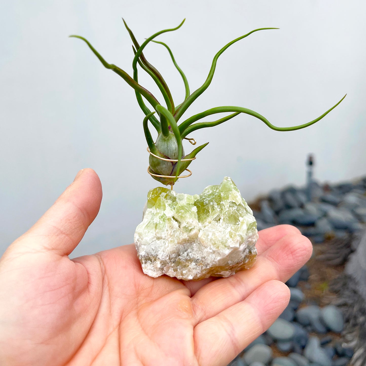 Rare Green Calcite Gemstone Air Plant Holder - One-of-a-kind Gift for Tillandsia and Crystal Lovers