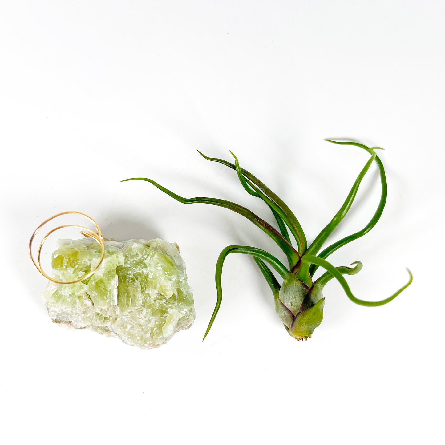 Rare Green Calcite Gemstone Air Plant Holder - One-of-a-kind Gift for Tillandsia and Crystal Lovers
