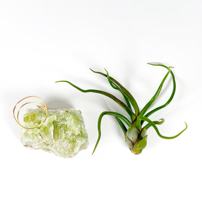 Rare Green Calcite Gemstone Air Plant Holder - One-of-a-kind Gift for Tillandsia and Crystal Lovers