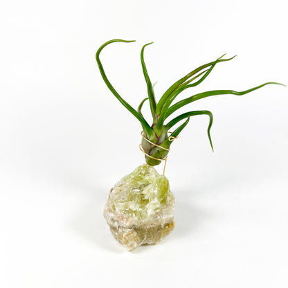 Rare Green Calcite Gemstone Air Plant Holder - One-of-a-kind Gift for Tillandsia and Crystal Lovers