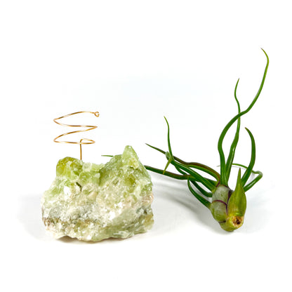 Rare Green Calcite Gemstone Air Plant Holder - One-of-a-kind Gift for Tillandsia and Crystal Lovers