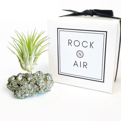 Sympathy Gift - Small Pyrite Air Planter