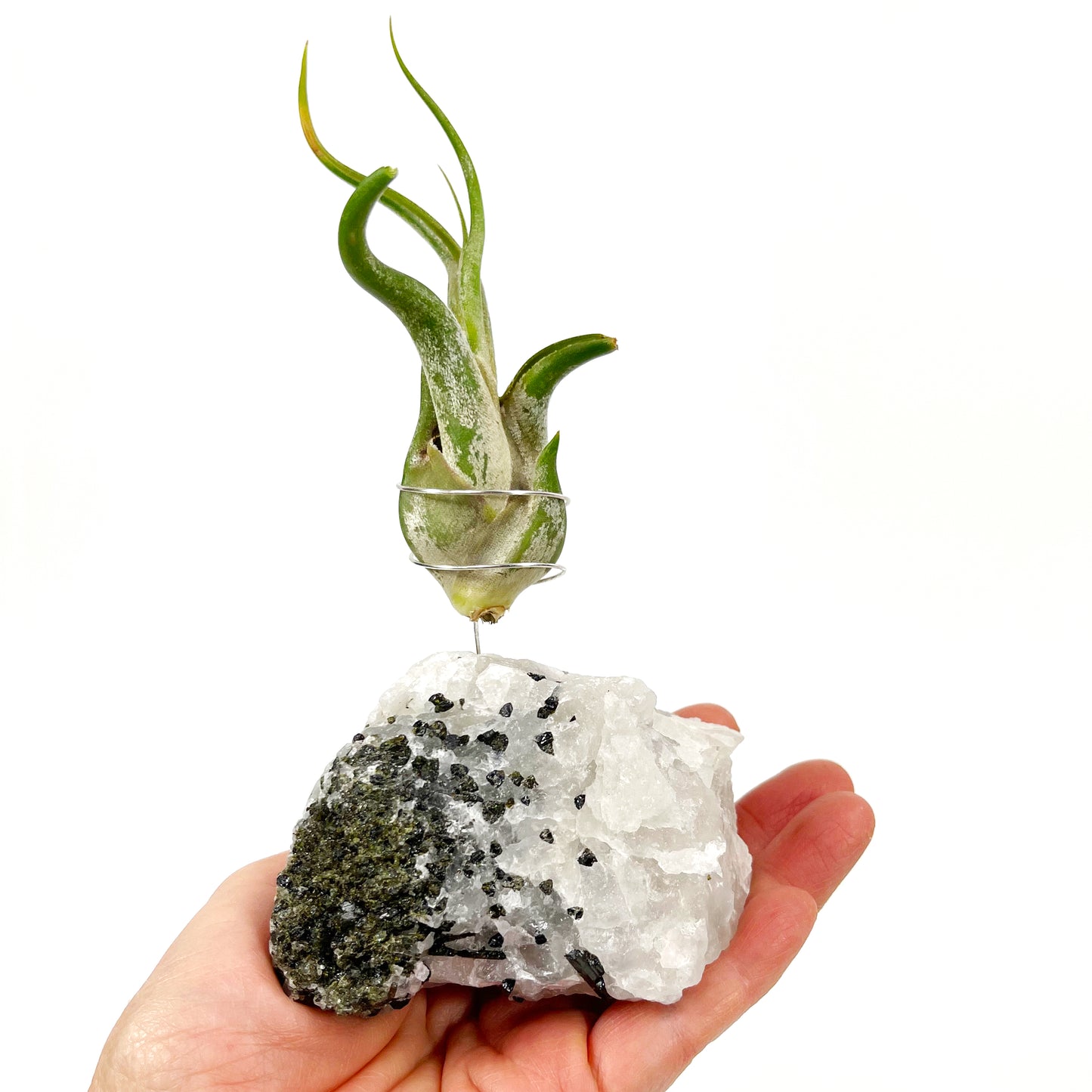 Black Tourmalinated Quartz Air Plant Holder