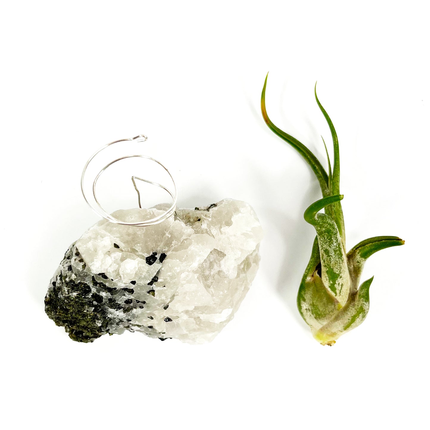 Black Tourmalinated Quartz Air Plant Holder