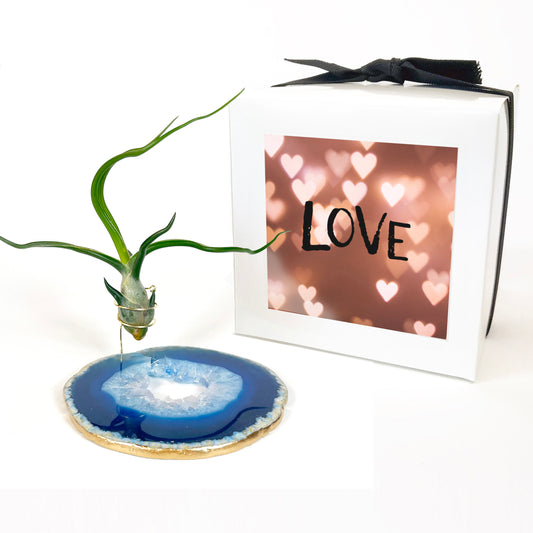 One-of-a-Kind Blue Agate Slice Air Plant Holder: Crystal Gift for Valentines Day