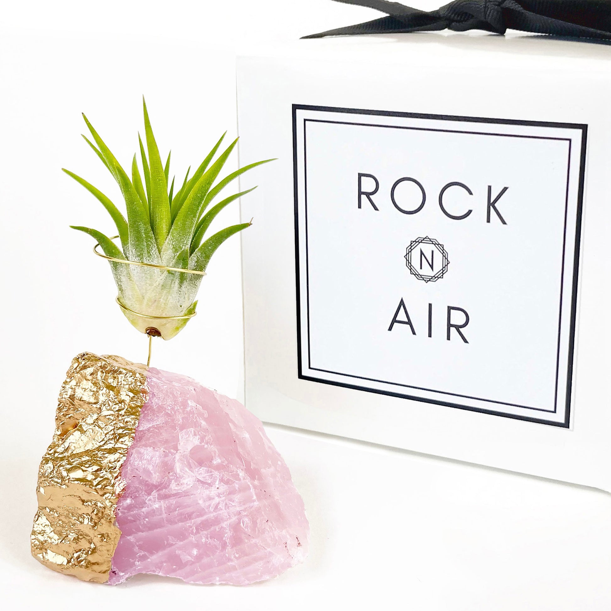 rose gold plant hanger Gold Dipped Rose Quartz Air Plant Holder